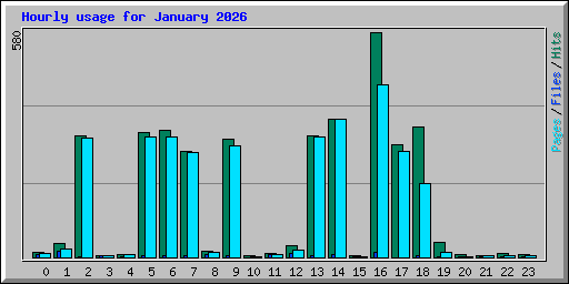 Hourly usage for January 2026