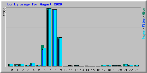 Hourly usage for August 2026